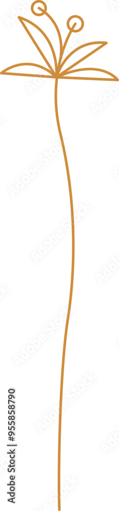 Line Flower Minimalist Line Flower Minimalist