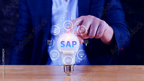 SAP system concept, SAP System Application Products, Business process automation and management software concept, management solutions.