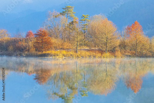 Morning view of maple trees with light fog on Yongdam Lake with refleciton in autumn near Jinan-gun, South Korea