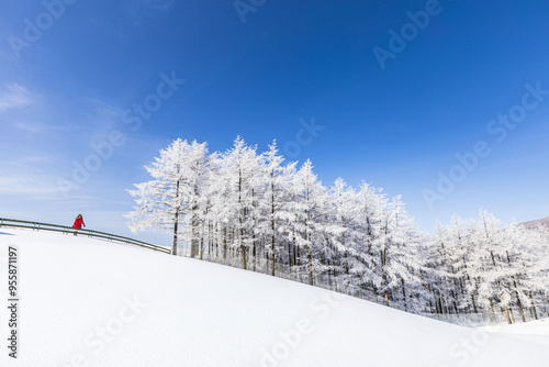 Pyeongchang-gun, Gangwon-do, South Korea - March 3, 2021: White hoarfrost on the trees oh snow covered hill with a female in red clothe at Sheep Ranch of Daegwallyeong Pass photo