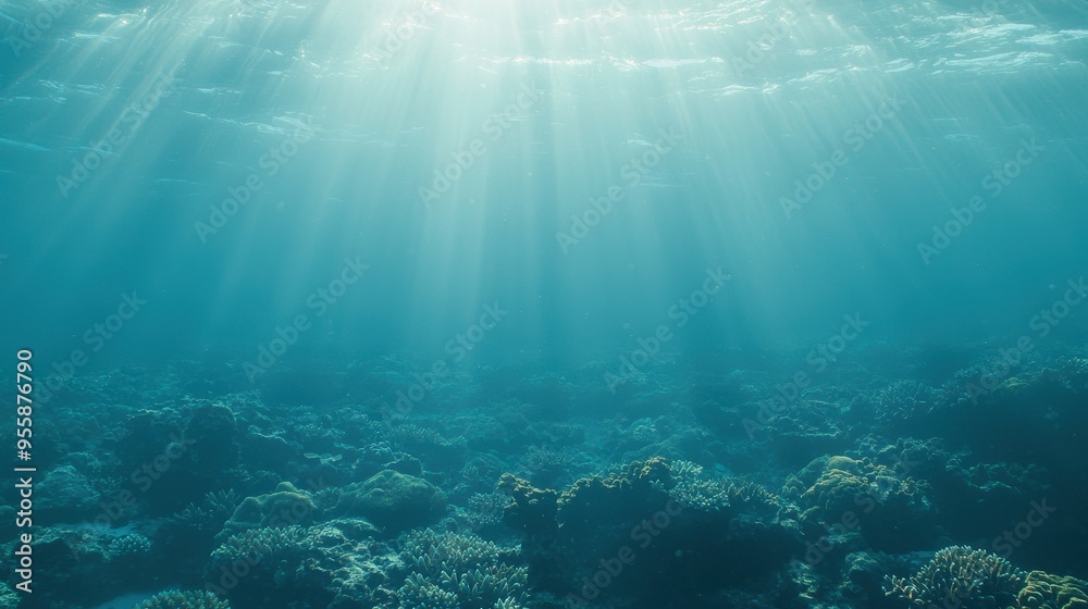 Fototapeta premium Underwater Sunlight Beams Over Coral Reef