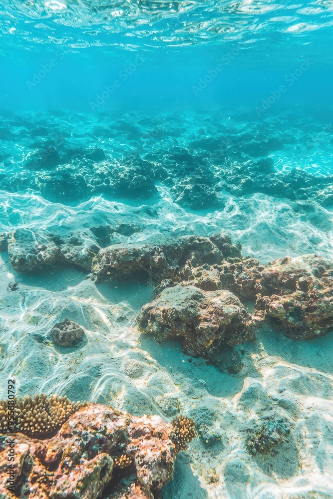 Fototapeta premium Underwater Seabed with Coral Reef and Rocks