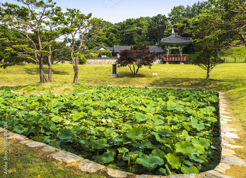 Siheung-si, Gyeonggi-do, South Korea - July 5, 2021: Summer view of green lotus leaves on pond against a pavilion at Gwangokji Reservoir photo