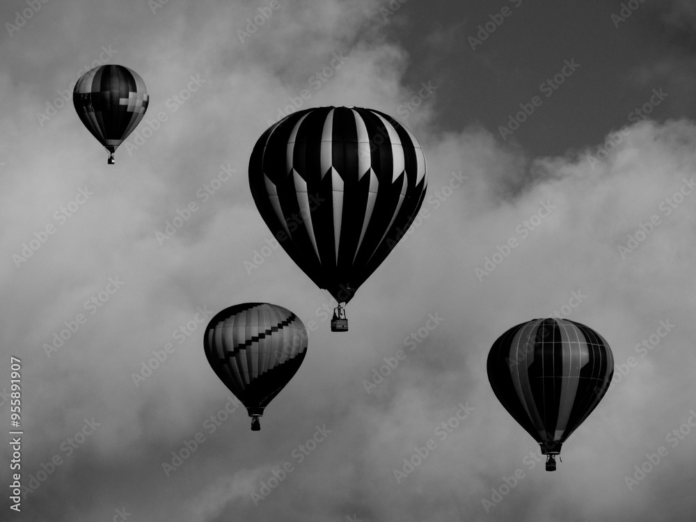 Fototapeta premium Black and white hot air balloons