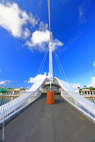  Great Harbor Bridge (Dagang Bridge) at Yancheng District, Kaohsiung City, Taiwan photo