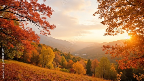Autumn landscape ideal for ...