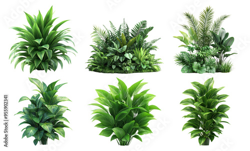 Set of six green indoor plants in different arrangements isolated on transparent background photo