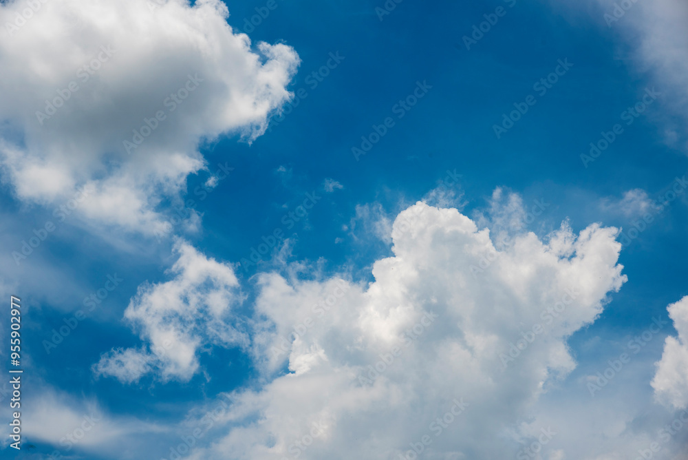Blue sky fluffy white clouds on summer season bright clear skyline with beautiful cloudscape. Panorama blue sky clouds pattern on daylight with copy space. Cumulus cloudscape air climate sunny day Blue sky fluffy white clouds on summer season bright clear skyline with beautiful cloudscape. Panorama blue sky clouds pattern on daylight with copy space. Cumulus cloudscape air climate sunny day