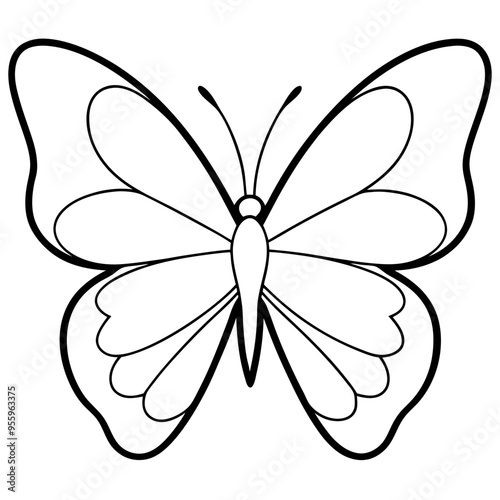 butterfly line art vector vector file