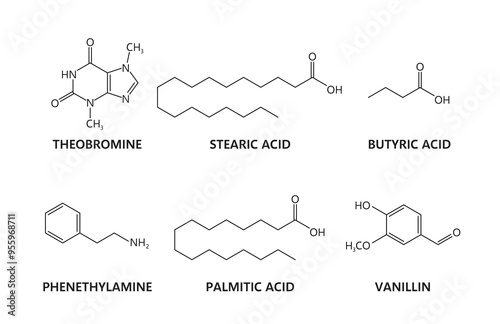 Theobromine chocolate chemical formulas, vector chemistry science. Molecular structure of chocolate compounds, theobromine alkaloid of cacao plant, vanillin, butyric, palmitic and phenethylamine acid
