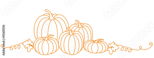 Pumpkin line art style vector illustration