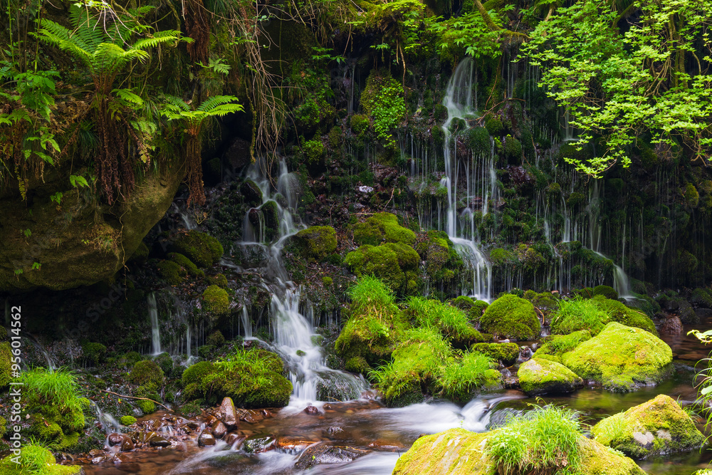 Fototapeta premium 日本の風景・春 秋田県にかほ市 新緑の元滝伏流水