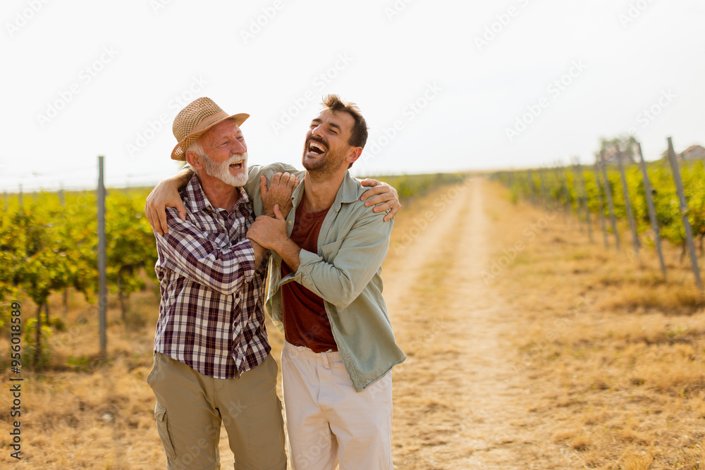 Fototapeta premium Two men stroll through a sunlit vineyard, sharing laughter and stories on a warm afternoon, surrounded by lush green vines