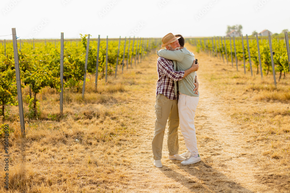 Obraz premium Heartfelt reunion between a father and son amidst a sunlit vineyard on a warm summer afternoon