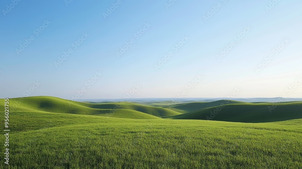 A scenic view of rolling green hills under a clear blue sky A scenic view of rolling green hills under a clear blue sky