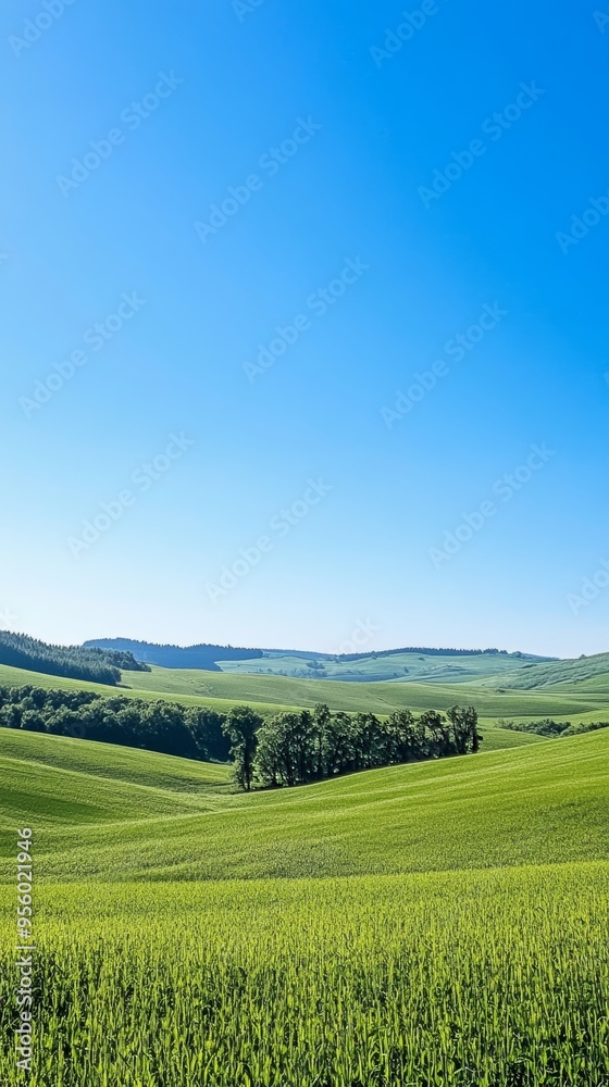 Naklejka premium A scenic view of rolling green hills under a clear blue sky