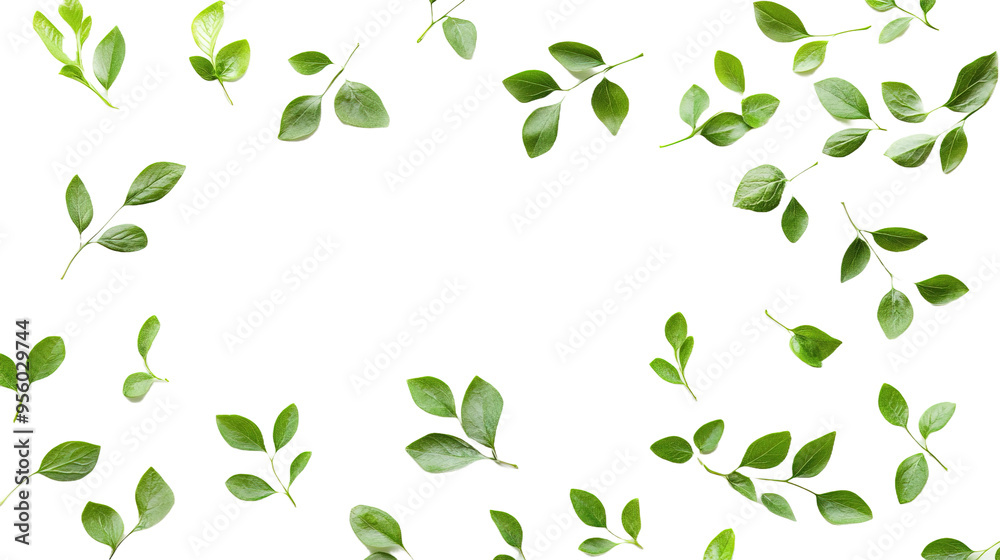 Small green leaves on transparent background, png Small green leaves on transparent background, png