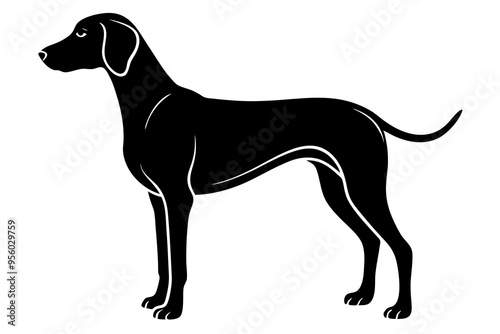 Weimaraner Dog Silhouette Vector Illustration, Clipart photo