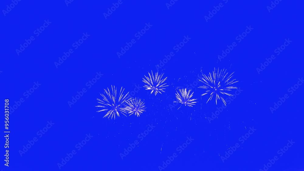 Abstract Real Firework on blue screen chroma key background, 4th of July independence day and new year eve 2024 concept. High quality 4k chromakey slow motion cinematic video Abstract Real Firework on blue screen chroma key background, 4th of July independence day and new year eve 2024 concept. High quality 4k chromakey slow motion cinematic video