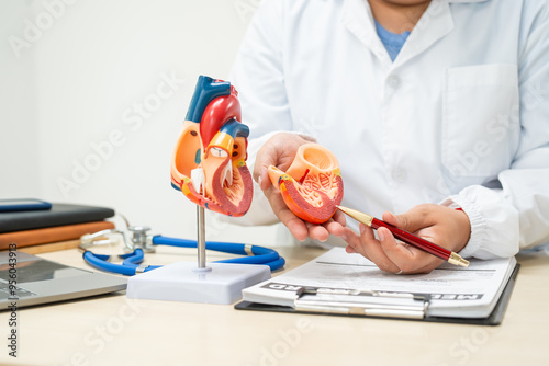 Schilderij op canvas A female doctor works at a desk in the hospital,discussing heart diseases such a