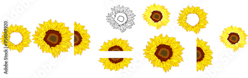 Quadro em tela Modern Sunflower Illustration Labels And Badges, Calligraphy Set Vector Illustra