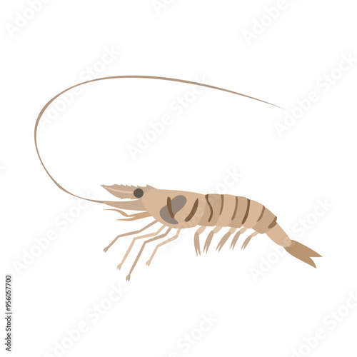 スジエビ。フラットなベクターイラスト。
Lake prawn. Flat vector illustration.