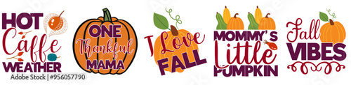 Creative Fall Bundle Calligraphic Lettering, Phrases Bundle Vector Illustration for T-Shirt Design, Decal, Newsletter