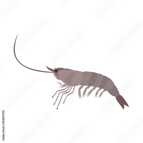 バナメイエビ（シロアシエビ）。フラットなベクターイラスト。
Whiteleg shrimp (Pacific white shrimp, king Prawn). Flat vector illustration.