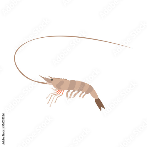 ヨシエビ。フラットなベクターイラスト。
Offshore greasyback prawn. Flat vector illustration.