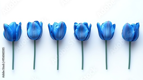 A row of toned blue tulip flowers aligned horizontally, isolated on a white background with soft shadows.