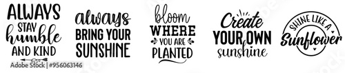 Fotografie Minimal Sunflower Bundle Inscriptions, Invitation Bundle Vector Illustration for