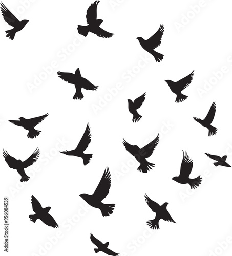 Set of black birds silhouette vector black birds