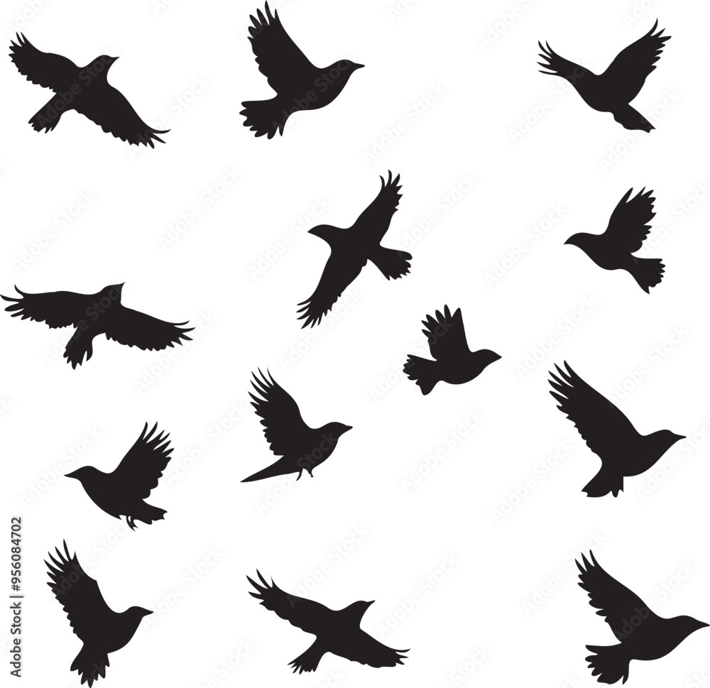 Obraz premium Set of black birds silhouette vector black birds