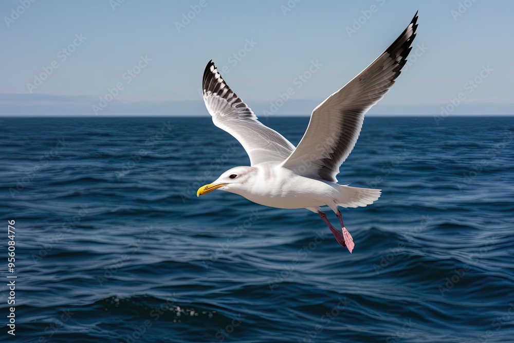 Seagull Flying Over Ocean Waves in Majestic Flight Seagull Flying Over Ocean Waves in Majestic Flight