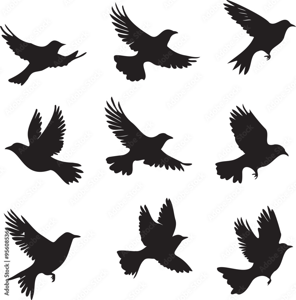 Obraz premium Set of black birds silhouette vector black birds
