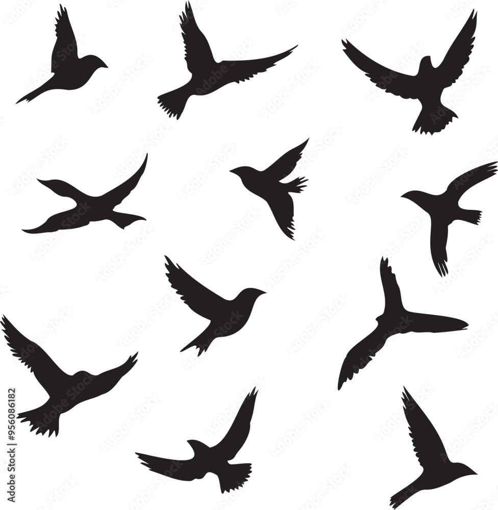 Fototapeta premium Set of black birds silhouette vector black birds