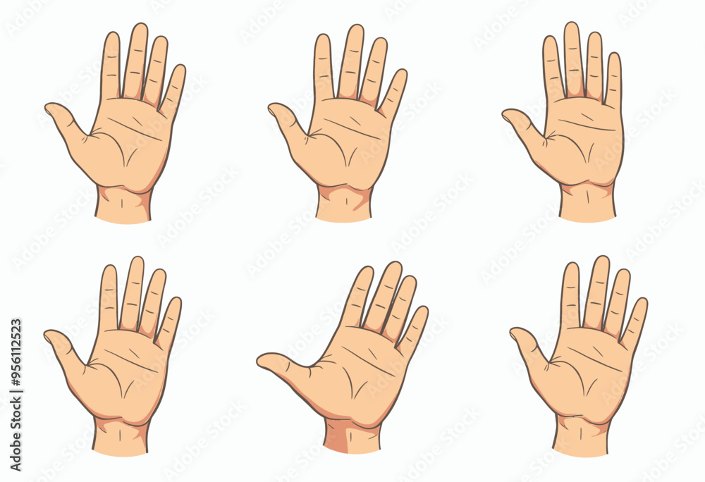 Collection of Six Different Hand Positions Collection of Six Different Hand Positions