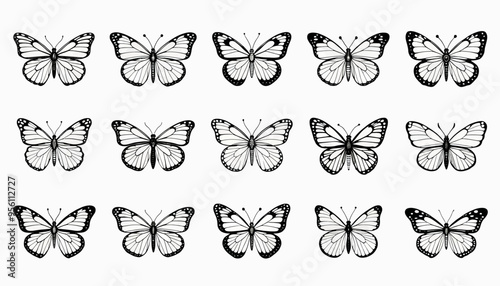 Collection of 12 Black and White Butterfly Illustrations