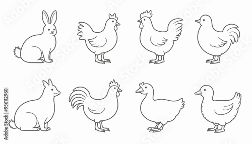 Chicken and Rabbit Family Portraits