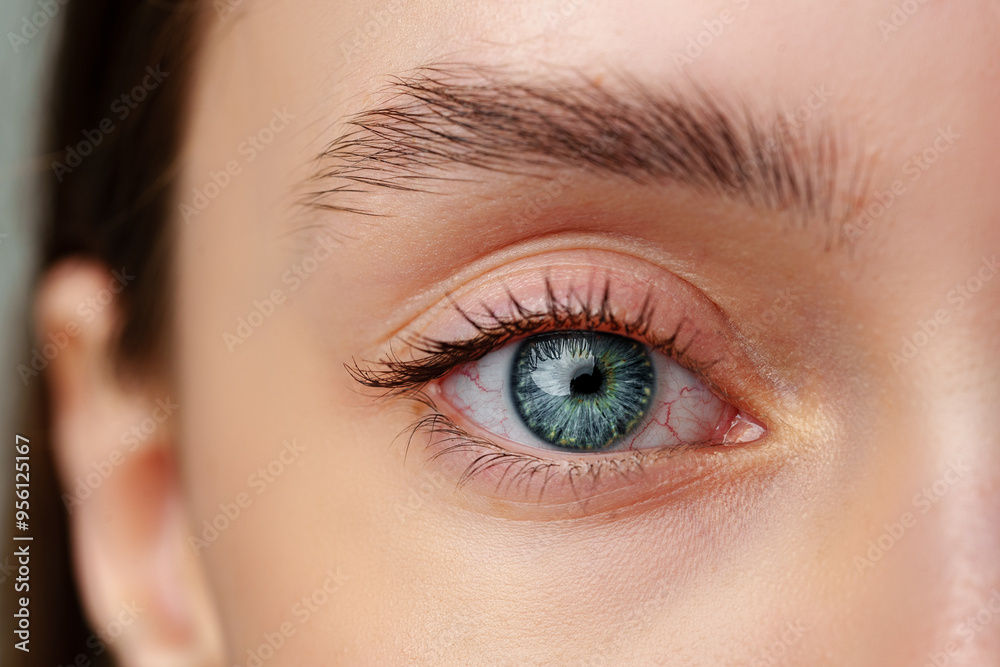 Obraz premium Close Up of Woman's Blue Eyes With Natural Makeup