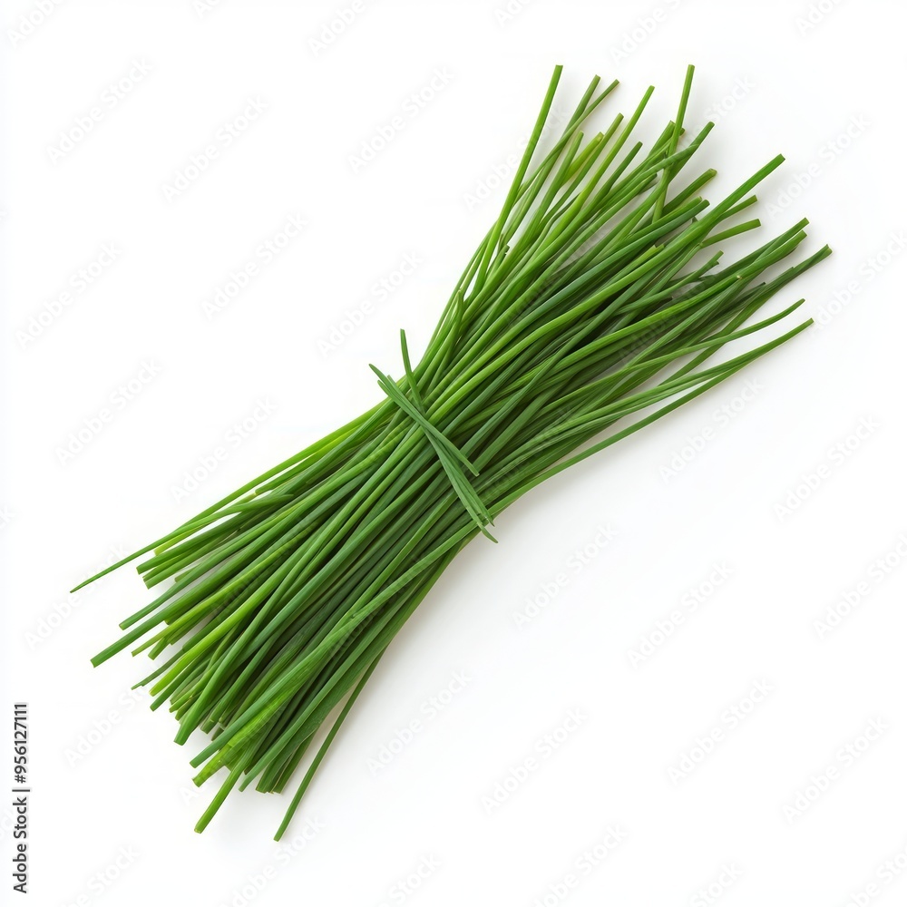A bunch of fresh green chives tied together with a green ribbon, isolated on a white background. A bunch of fresh green chives tied together with a green ribbon, isolated on a white background.