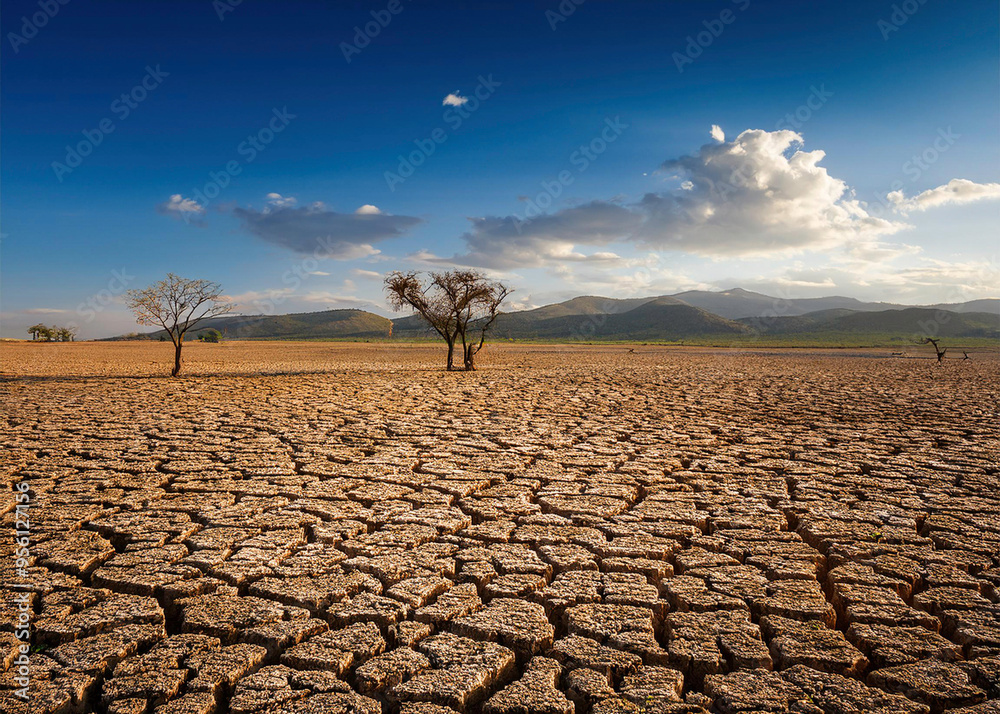 Landschaft von Dürre gezeichnet