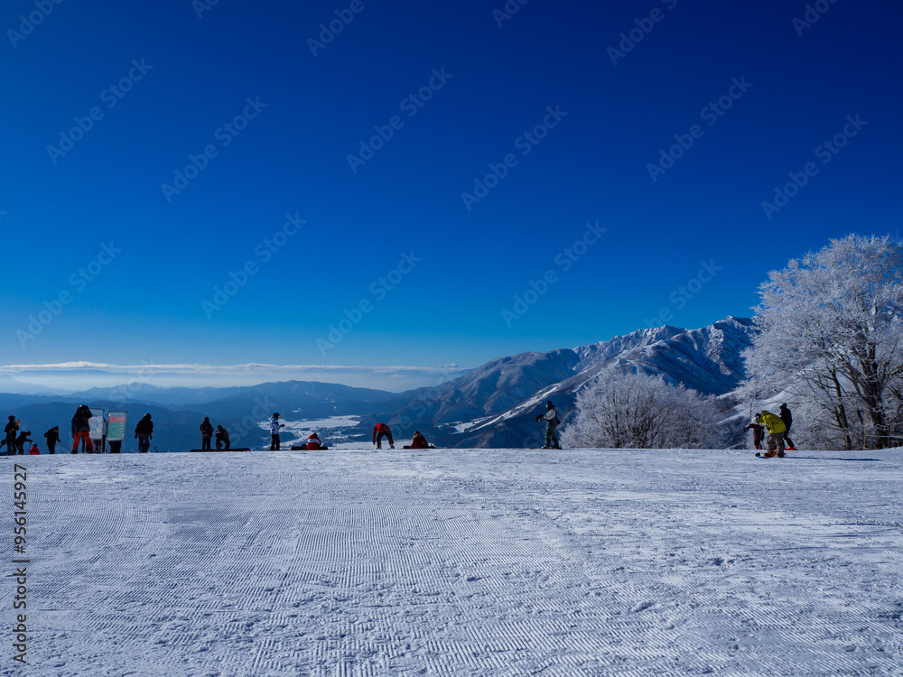 スキー場 ゲレンデ風景 白馬岩岳マウンテンリゾート スキー場 ゲレンデ風景 白馬岩岳マウンテンリゾート
