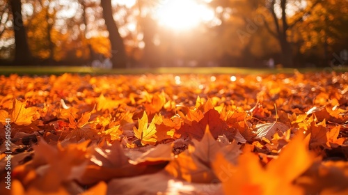 Wallpaper Mural A blanket of orange leaves covering the ground in a park, with the sunlight casting a warm glow over the scene --ar 16:9 --v 6.1 Job ID: 9d400a83-504b-42c8-a861-62bdef964b1e Torontodigital.ca