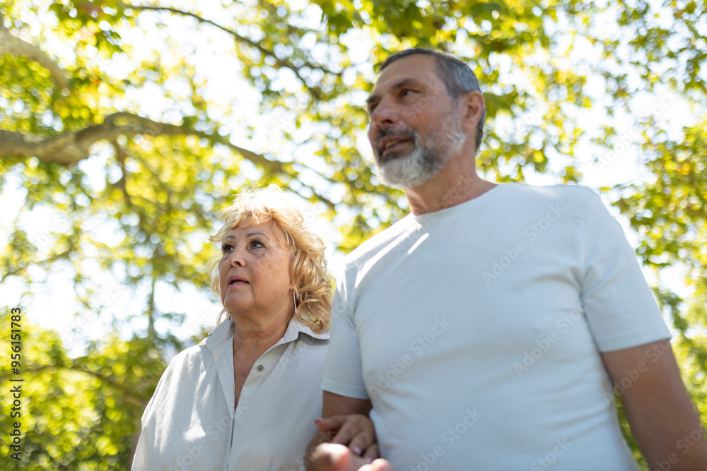 Senior couple walking in the park is looking up Senior couple walking in the park is looking up