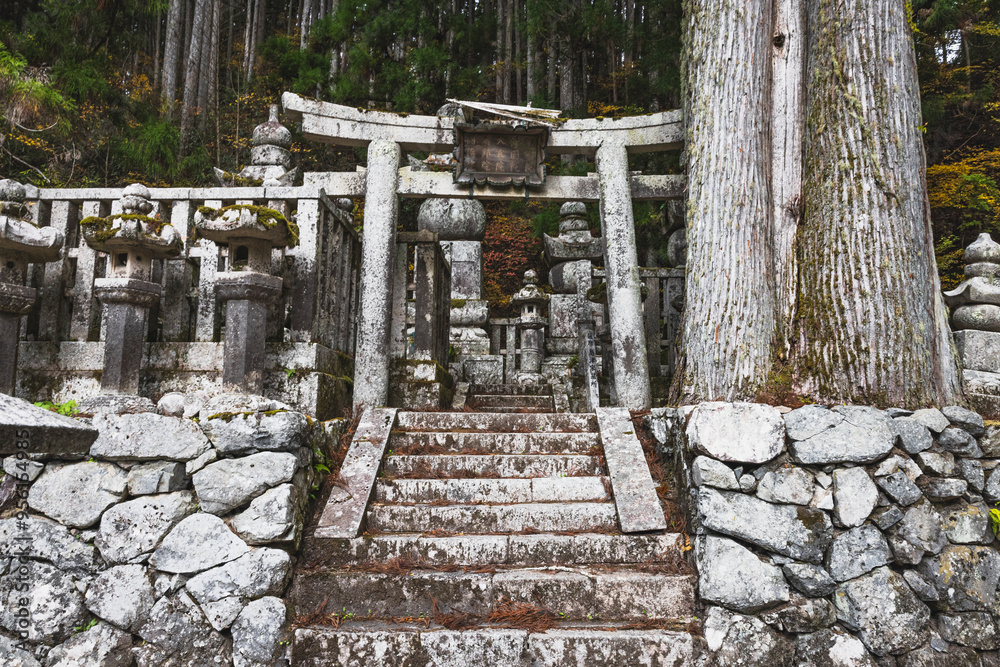 Detalle del cementerio budista de Koyasan en Japón. Detalle del cementerio budista de Koyasan en Japón.