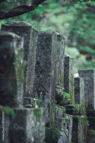 Detalle del cementerio budista de Koyasan en Japón.