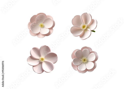 Set of white flower. Isolated on white background. Vector 3d realistic illustration