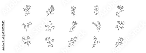 Hand Drawn Flower Vector art illustration isolated transparent background
