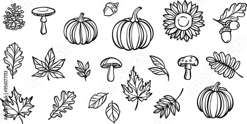 Autumn line art doodle elements, hand drawn leaf illustrations, isolated
